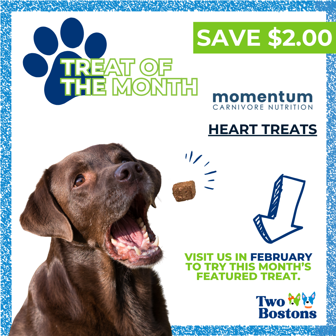 February Treat of the Month