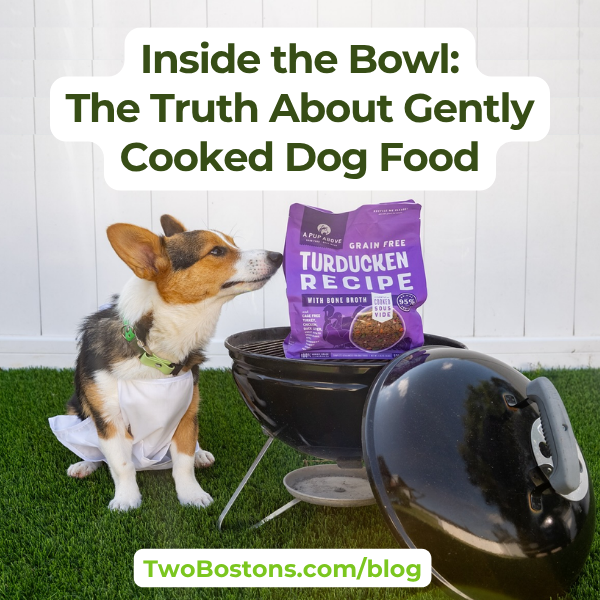 Inside the Bowl: The Truth About Gently Cooked Dog Food