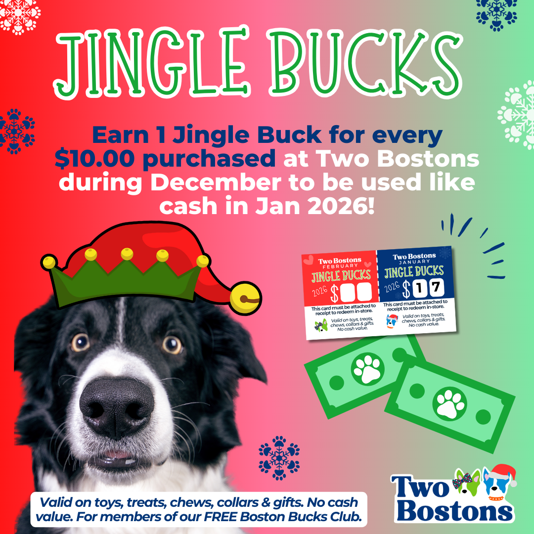Jingle Bucks at Two Bostons