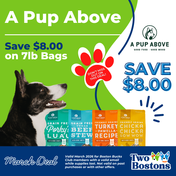 March Deal at Two Bostons | A Pup Above