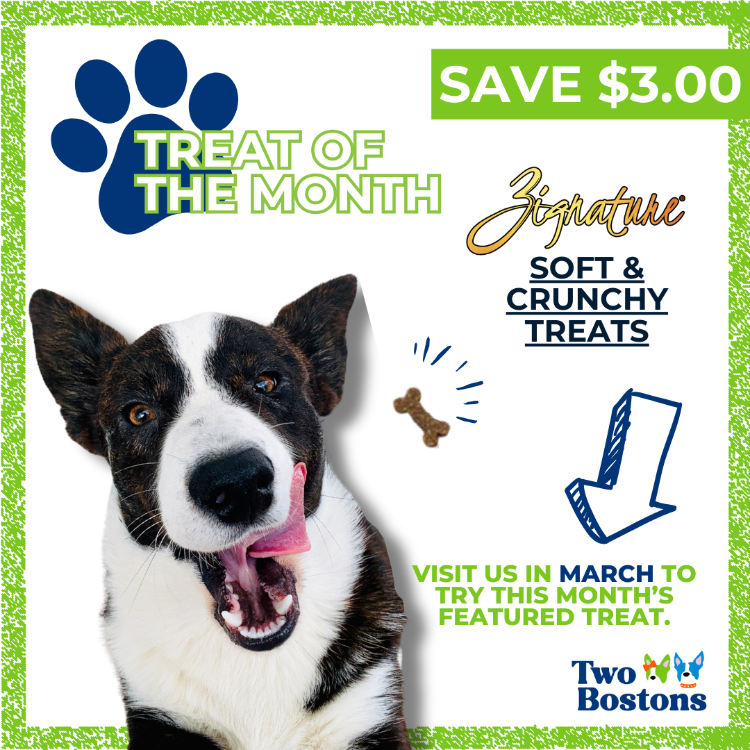 March Treat of the Month at Two Bostons