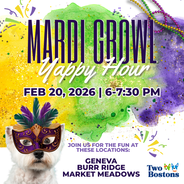 Mardi Growl Yappy Hour at Two Bostons