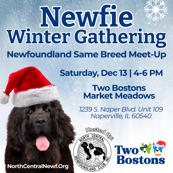 Newfie Winter Gathering