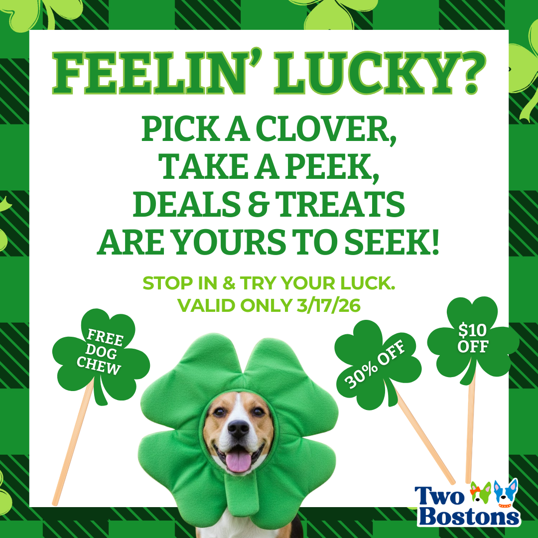 Lucky Clover Giveaway at Two Bostons