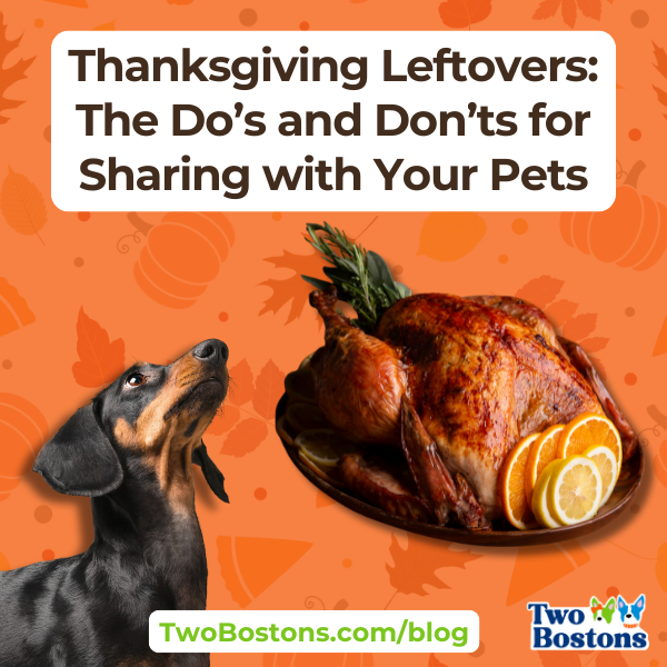 Thanksgiving Leftovers: The Do’s and Don’ts for Sharing with Your Pets