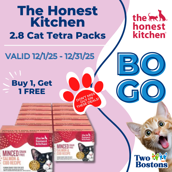 The Honest Kitchen Cat Promotion