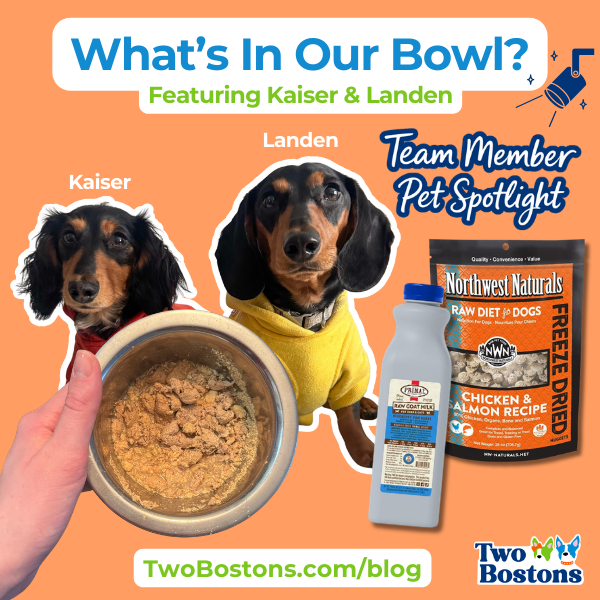 What's In Our Bowl? Featuring Kaiser & Landen