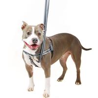 Reflective Freedom No-Pull Harness (Item #818557023652)