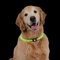 Led Safety Necklace (Item #094664042056)