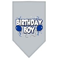 Grey Birthday Boy Bandana (Item #66-05 S GREY)