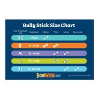 The Bully Buddy (Item #850002717068)