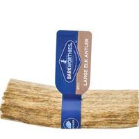 Elk Antler (Item #840139120053)