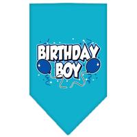 Turquoise Birthday Boy Bandana