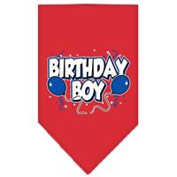 Red Birthday Boy Bandana (Item #66-05 SM RED)