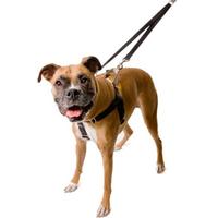 Black Freedom No-Pull Harness (Item #818557022419)