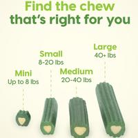 Brushless Toothpaste Dental Chew (Item #632634400002)