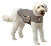 Grey Thundershirt (Item #819505013206)