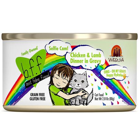 Oh My Gravy! Selfie Cam! Chicken & Lamb