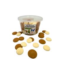 Two Bostons' Mix Puppy Kisses