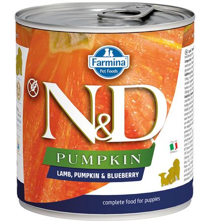 Natural & Delicious Pumpkin Lamb Canned Puppy Food
