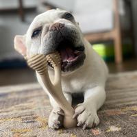 BetterBone Tough SUPER Durable All-Natural Dog Chew Toy (Item #850028916025)