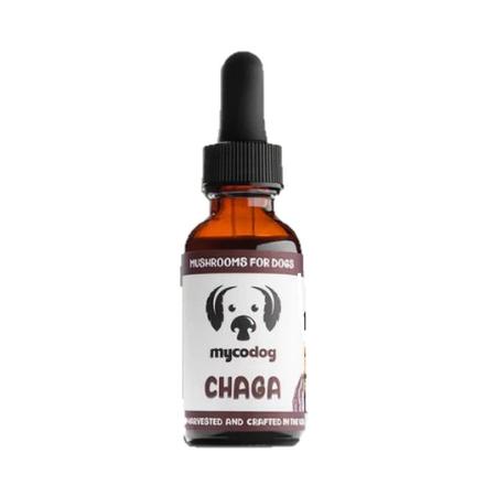 Chaga