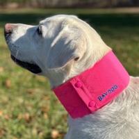 Arctic Bay Cooling Dog Collar (Item #850053133855)