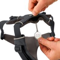 Front Range® Dog Harness - Basalt Gray (Item #748960541149)