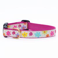 Spring Fever Dog Collar (Item #707435766333)