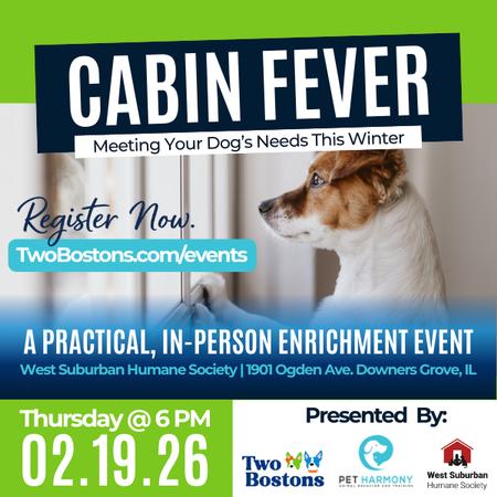 Cabin Fever Workshop Event