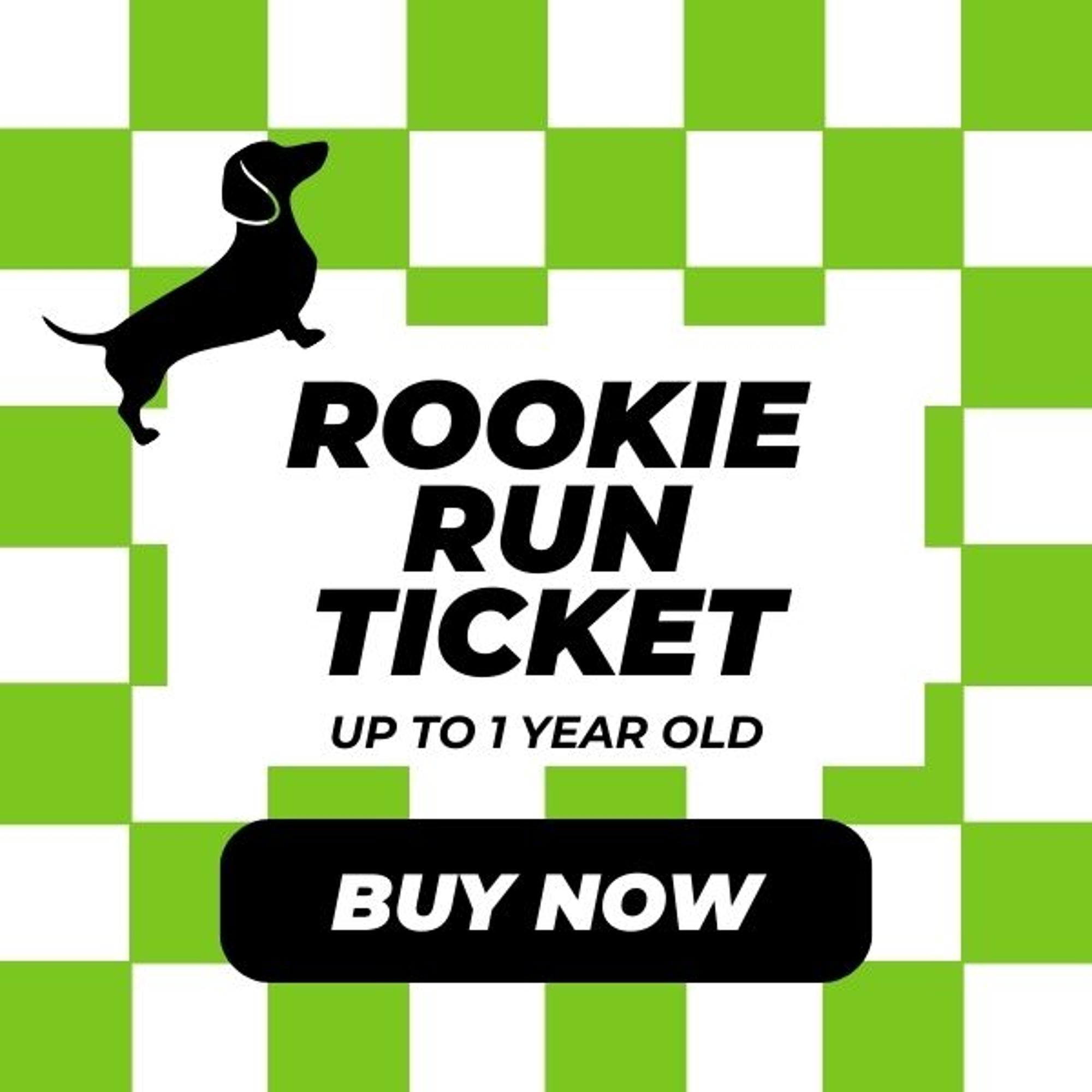 Dachshund Derby Rookie Run Ticket