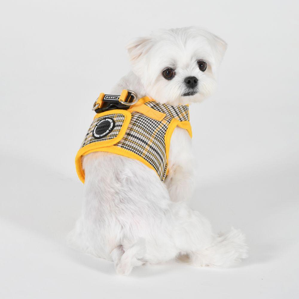 Lucas Harness B - Yellow (Item #8809867369242)