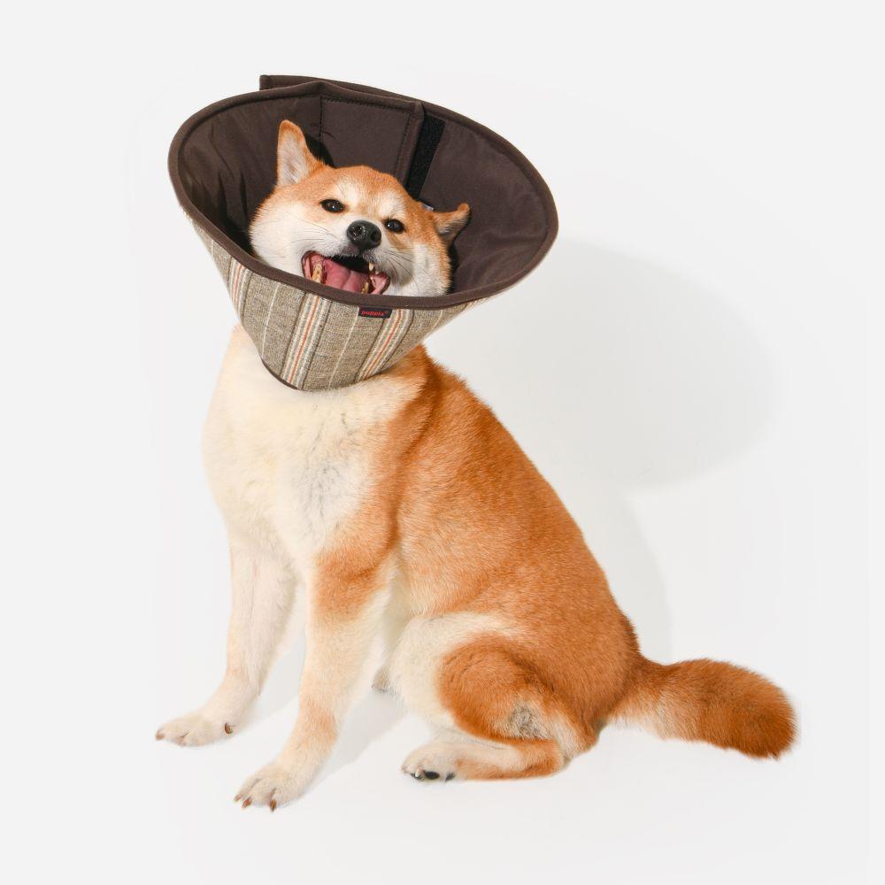 Dandy Checkered E-Collar Cone (Item #8809981632758)