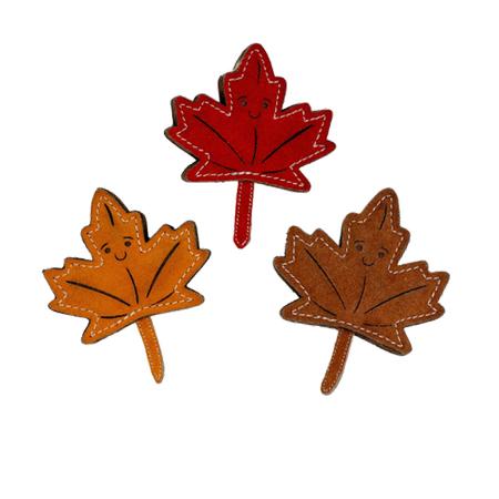 Assorted Autumn Leaves