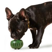 The Pupsicle -Forest Green